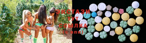 ECSTASY Богородицк